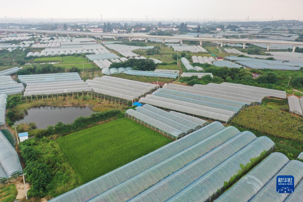 银河在线游戏娱乐
